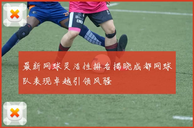 最新网球灵活性排名揭晓成都网球队表现卓越引领风骚