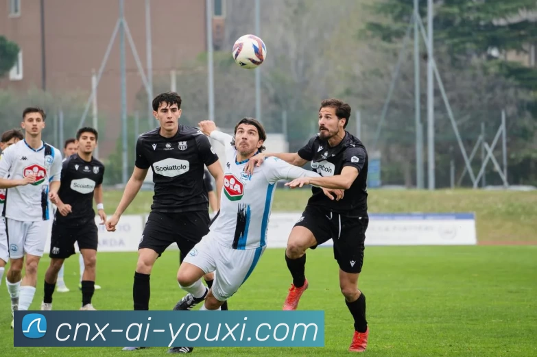 多媒体互动体验